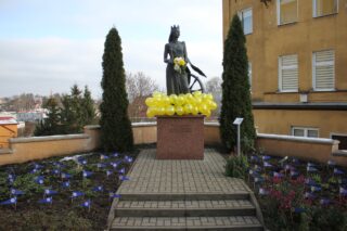 Katarzynki