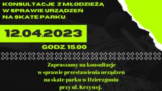 Konsultacje z młodzieżą w sprawie urządzeń na Skate Parku